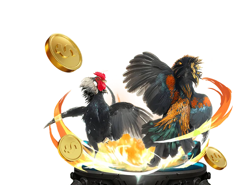 Các biện pháp bảo mật của zalv888