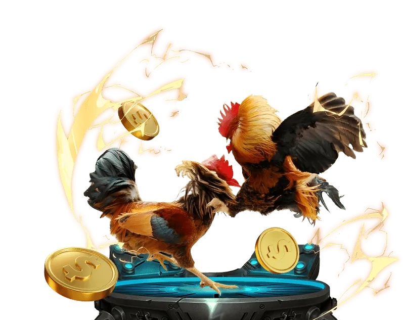 Các chương trình khuyến mãi zalv888